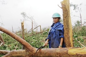 Doanh nghiệp cao su “mất mùa” lợi nhuận